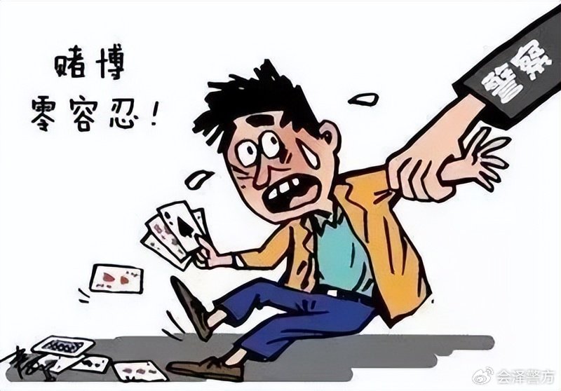 澳门一肖一码一必中一肖同舟前进，澳门一肖一码一必中，犯罪行为的警示与反思