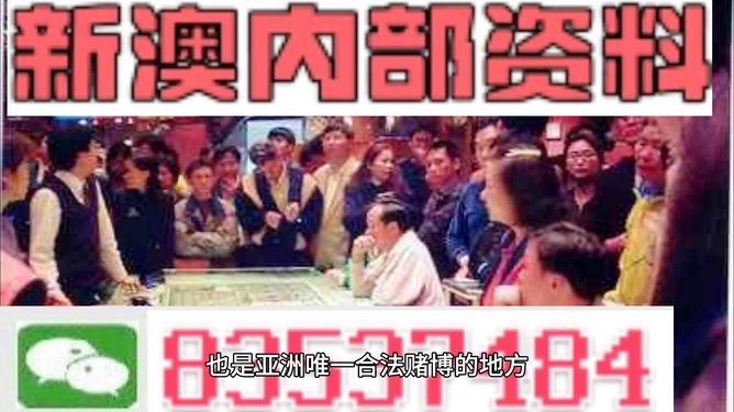 澳门最准的资料免费公开，澳门资料揭秘，真相背后的免费公开与犯罪风险警告
