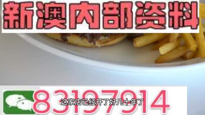 2024新澳正版免费资料，2024新澳正版免费资料全解析