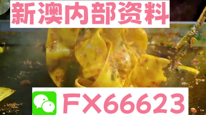 2024新澳最精准资料大全，2024新澳精准资料大全，最新最全信息汇总