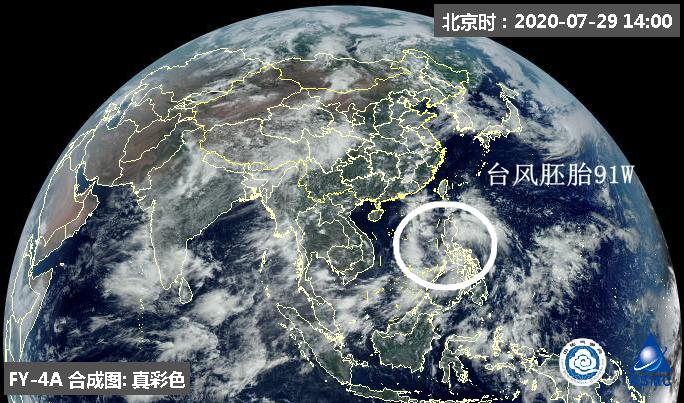 台风鹦鹉胚胎最新消息，台风鹦鹉胚胎最新动态，实时追踪报道