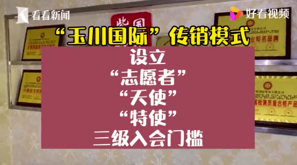 新澳门管家婆一句，澳门管家婆神秘预言，揭秘新预言背后的真相