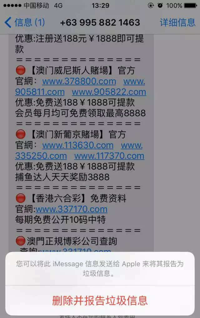 2024年新澳门天天开彩，关于新澳门天天开彩的犯罪问题探讨