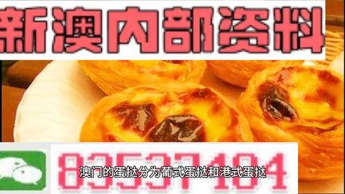 2024新澳正版免费资料大全，2024新澳正版免费资料大全，全面解析与指南