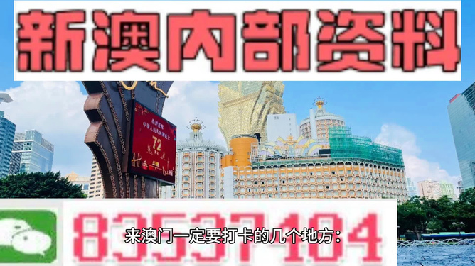 澳门正版精准免费大全，澳门正版精准免费大全背后的犯罪风险警示