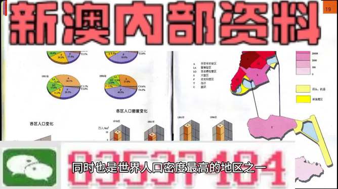 新澳门精准资料大全管家婆料，澳门精准资料大全揭秘，管家婆料背后的风险与警示