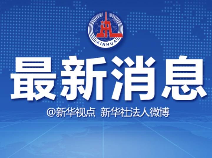 2004新奥精准资料免费提供，2004新奥精准资料大全集（免费下载）