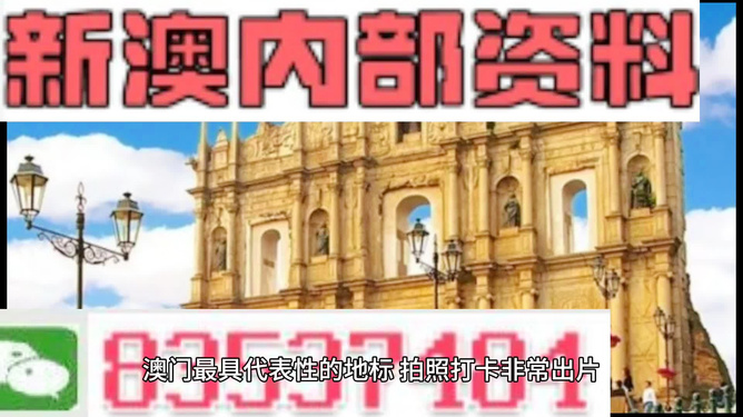 新澳内部资料精准大全，新澳内部资料精准大全揭秘