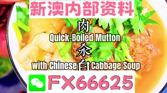 管家婆一码一肖资料大全一，关于管家婆一码一肖资料大全一的违法犯罪问题解析