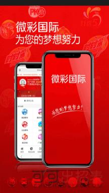 新澳历史开奖结果查询，新澳历史开奖结果查询，新澳历史开奖结果查询解析：重要性、查询方式与背后的技术探究