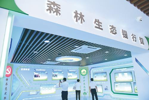 南平铝业新能源电池盒装创新引领，绿色出行新选择，南平铝业打造绿色出行新潮流，新能源电池盒装创新领航