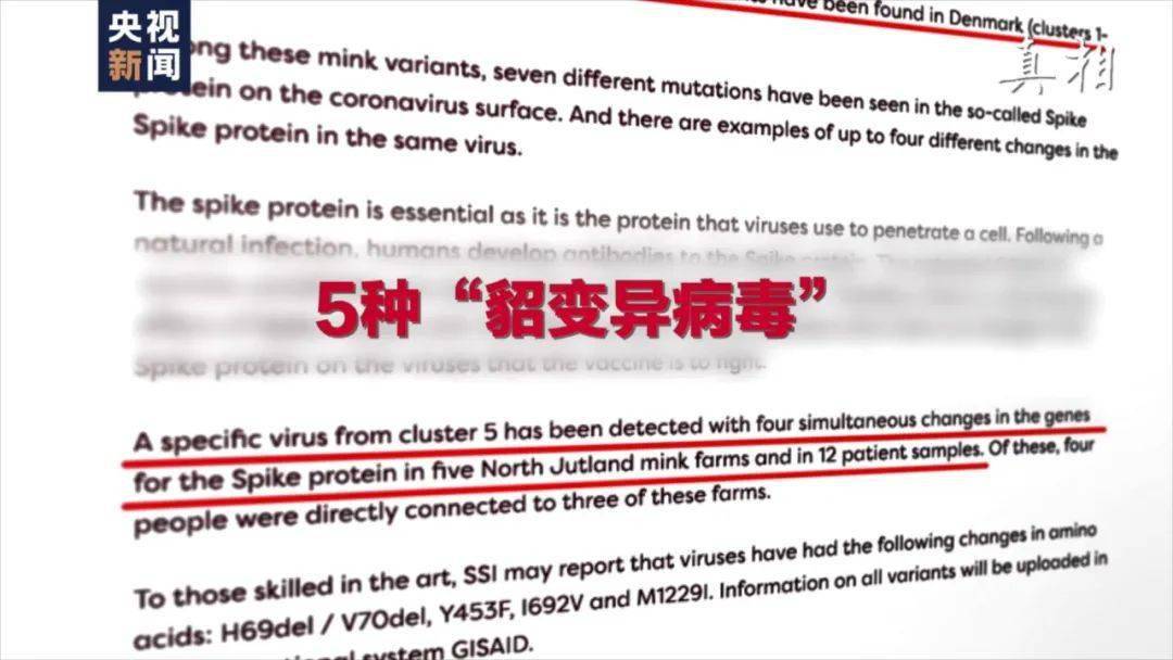 4949新澳门免费开奖大全，4949新澳门免费开奖大全，警惕《4949新澳门免费开奖大全》：远离非法赌博，守护合法生活