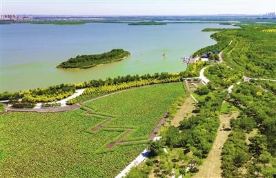 东丽湖最新新闻，东丽湖最新动态速览