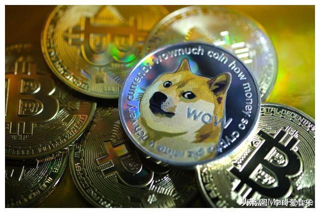 狗狗币和比特币反着来，狗狗币与比特币：深度反向对比解析