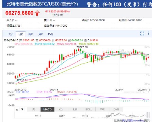 2024年12月25日 第17页
