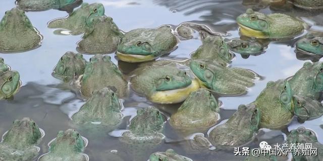 2024年12月27日 第34页