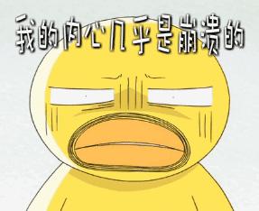 泉州凶杀案最新进展，警方全力追捕凶手，案情逐渐明朗，泉州凶杀案，警方紧锣密鼓追捕凶手，案情逐步清晰