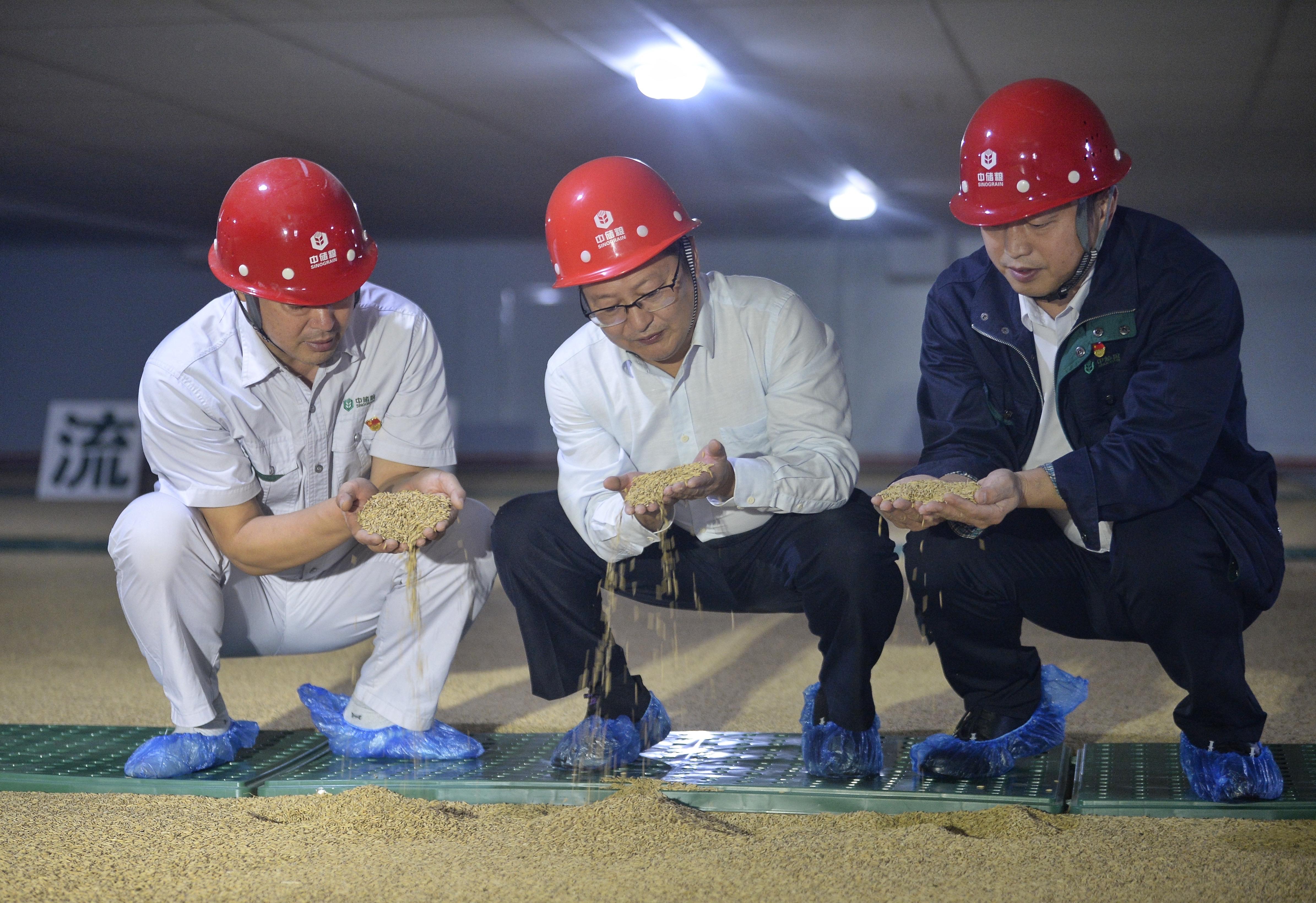 四川新能源制氮机多少钱，四川新能源制氮机价格查询
