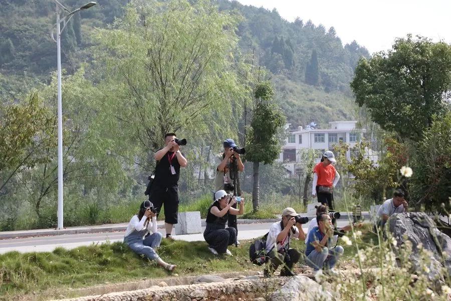 西安大龙最新消息，西安大龙地区最新发展动态：经济繁荣、文化兴盛、交通便捷、环保宜居