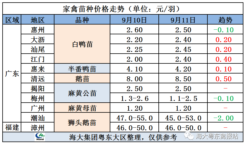 2024-12-21 全国毛鸭综合参考报价