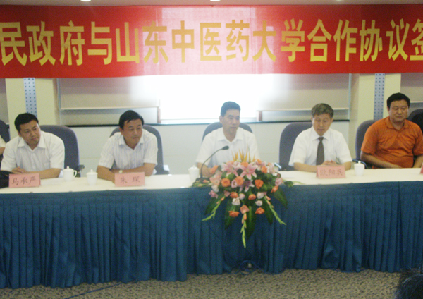 临沂市左沛廷最新任职，临沂市左沛廷最新任职解析：个人背景与对临沂市政的潜在影响