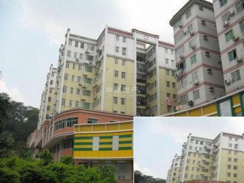 金麓山庄转租信息最新，金麓山庄最新转租指南：全面信息、市场分析与建议