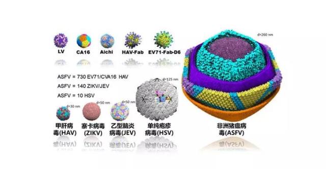 楚雄最新病毒，楚雄最新病毒研究全面解析