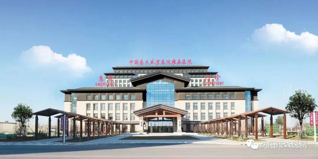 沈阳市沈北最新招聘信息，沈阳市沈北地区最新招聘信息全解析及求职指南