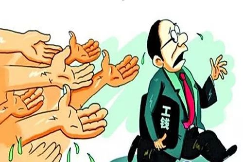 农民老丈人视频最新版，绿色启示录：农民老丈人的故事与智慧启示（最新版视频解析）