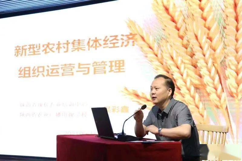 超品小农民 杨涛 最新，超品小农民杨涛：农业创新实践与乡村发展的典范之路