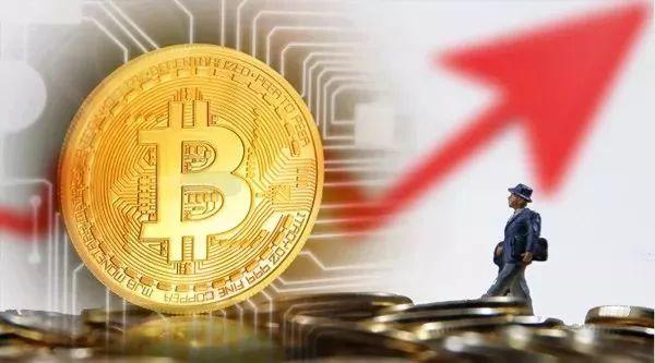 迪拜比特币网站的崛起，金融科技新宠儿的全球视野，迪拜比特币网站崛起，金融科技新宠儿的国际影响力