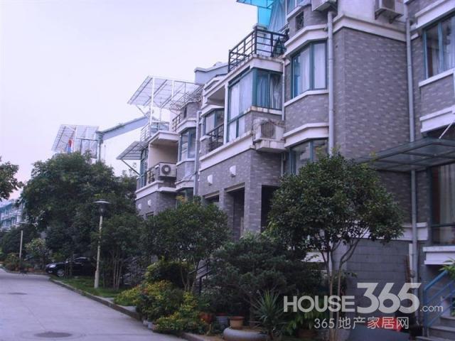 东义路附近租房信息最新，东义路附近最新租房指南：公寓、别墅与住宅的全方位租赁信息及市场概述