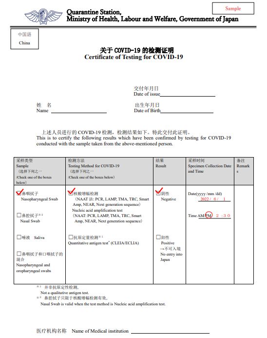 菲律宾最新入境政策详解，签证、隔离、健康检测全攻略，菲律宾入境政策全面解读，签证、隔离与健康检测指南
