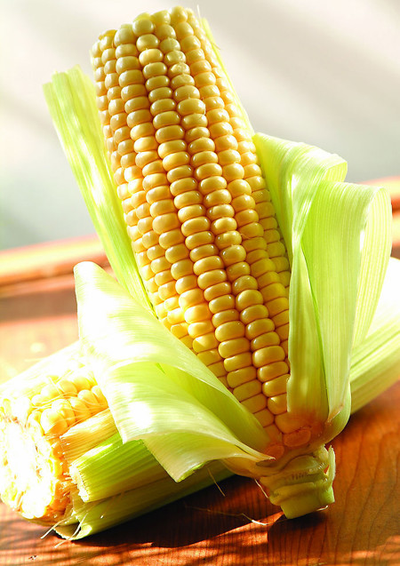 玉米面新食代，探索玉米面独特的多样吃法，玉米面新食界，解锁玉米面无限美味新篇章