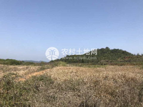 鹤岭土地出租最新信息查询，鹤岭土地出租指南：最新信息查询与注意事项