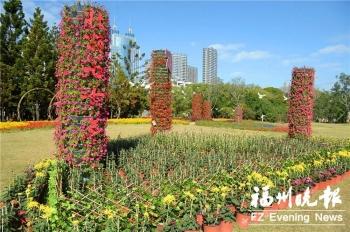 福州大提琴招聘信息最新，福州大提琴招聘最新动态及求职指南