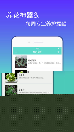 随心花最新版本下载，随心花最新版本下载攻略：渠道选择、特色功能、下载步骤及常见问题解答