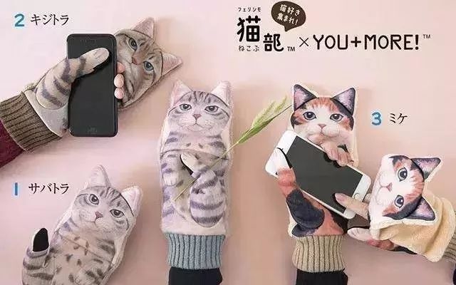 花生猫咪小视频下载最新版，《花生猫咪小视频》：猫奴必备的温馨可爱短视频应用