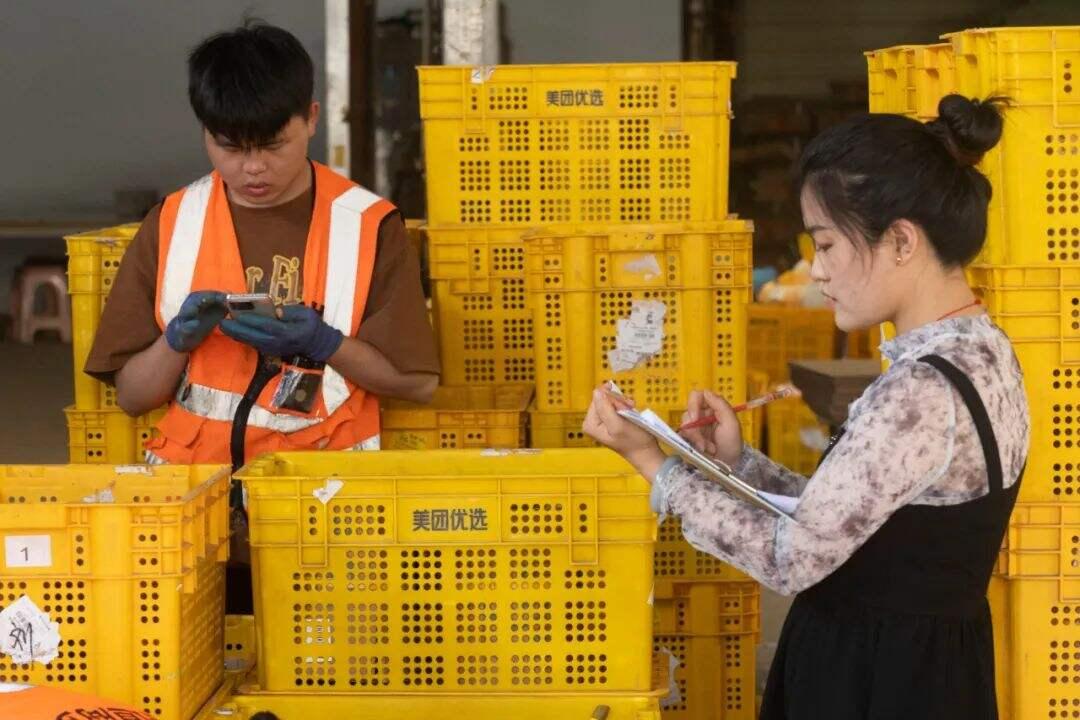 榴莲基地招聘信息最新网，榴莲基地招聘信息动态及求职指南