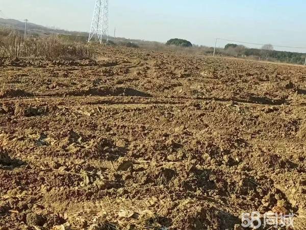 江宁区土地出租最新信息，江宁区土地出租市场最新信息概览