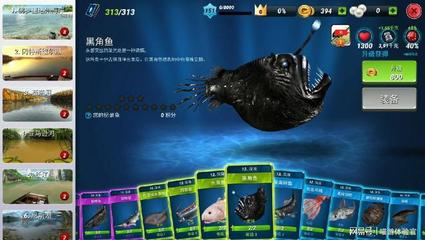 深海卡牌图鉴大全最新版，深海卡牌图鉴大全最新版：玩家必备指南