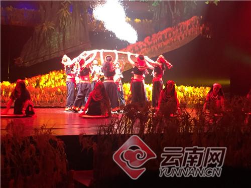 暴雨云南视频播放最新版，《暴雨云南视频播放最新版》：地域文化与先进技术的完美融合