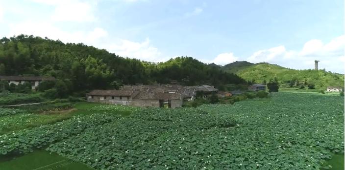 宁都暑假工招人信息网最新，宁都地区暑假工市场最新动态分析与指南