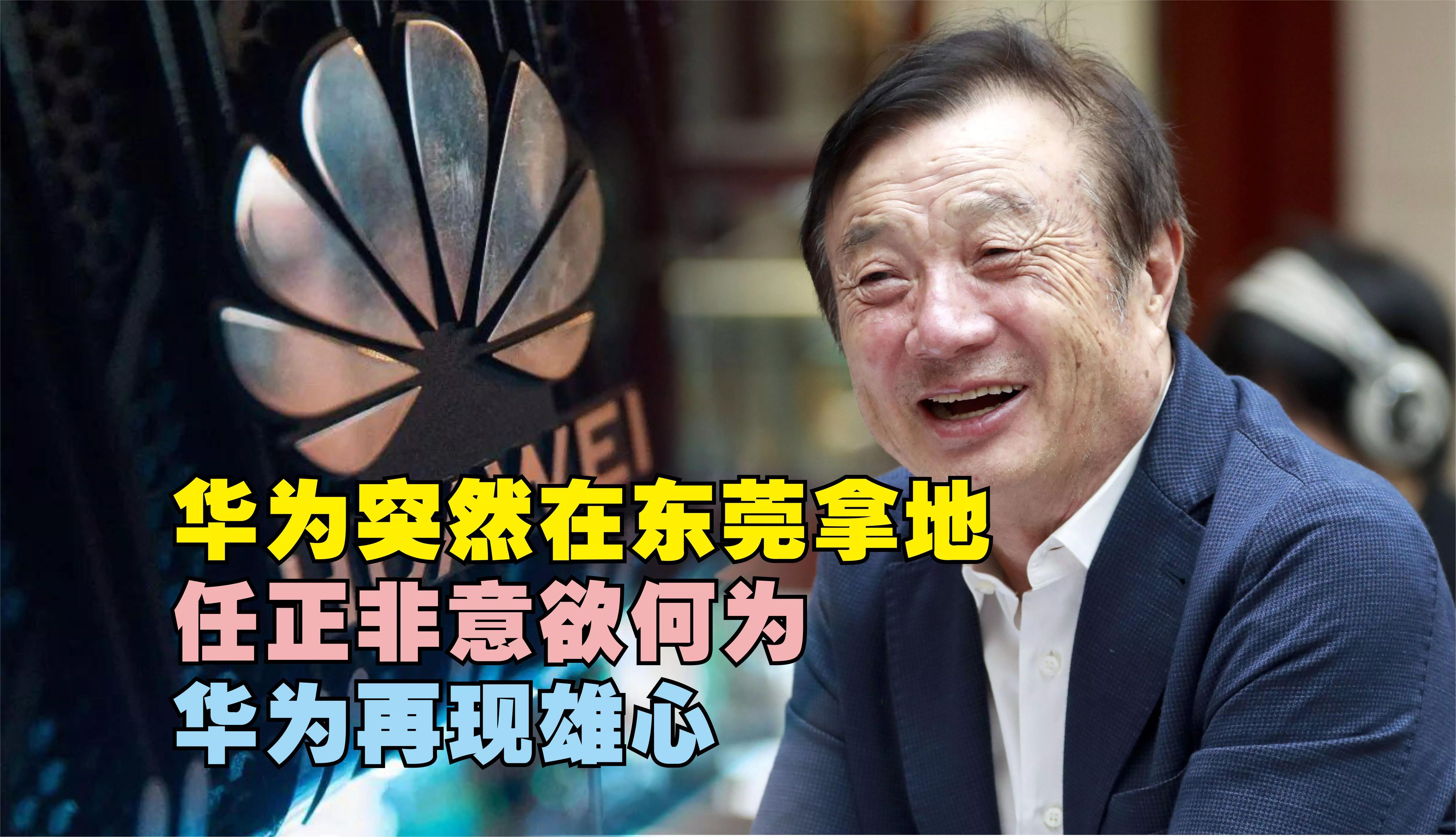 任正非最新信息发布，任正非最新信息发布：华为战略调整、技术研发与市场表现的深度解析