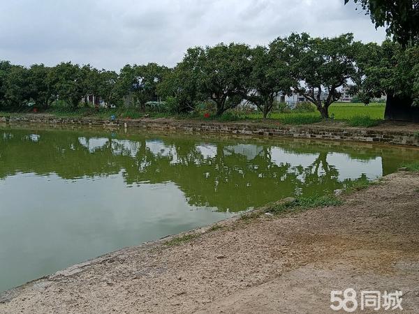 汕头钓场出租最新信息网，汕头钓场出租最新信息汇总与未来趋势展望