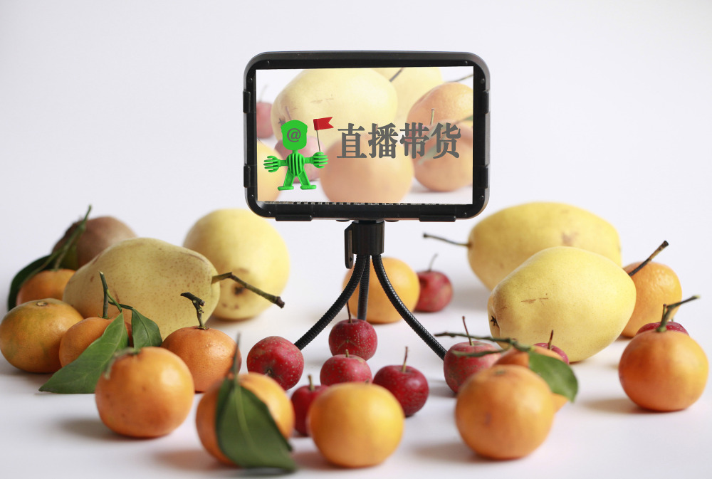 赣县桂竹子出售最新信息，赣县桂竹子：种植、品质、价格与市场前景全解析